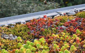 the cost of Weekley green roof installation